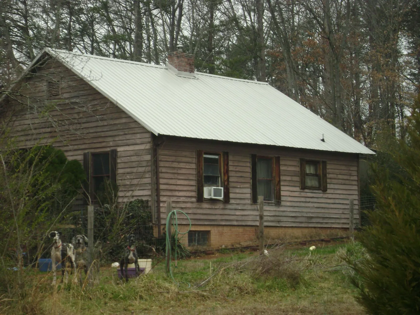 White metal roof on an old wood sided farmhouse, from a Asphalt Shingle Roof Repair job in Keyes